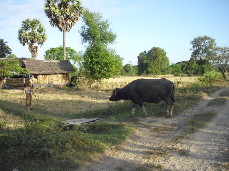 Image CIMG2635.JPG