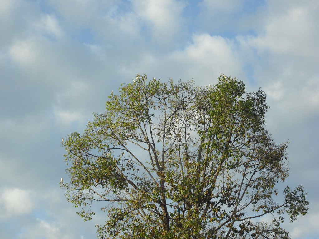 Image CIMG2640.JPG