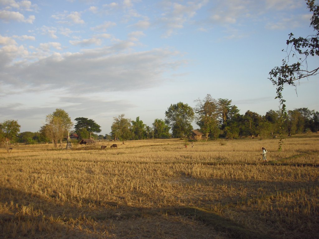 Image CIMG2641.JPG