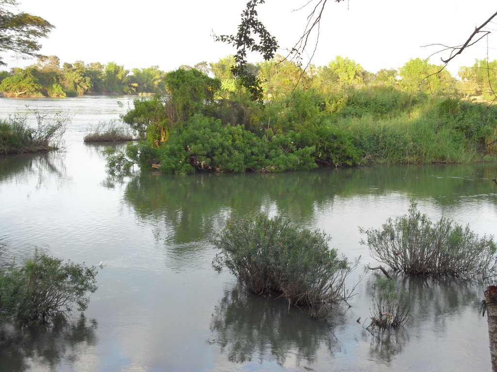 Image CIMG2644.JPG