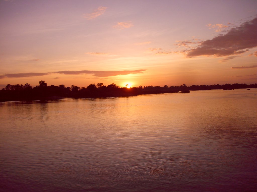 Image CIMG2653.JPG