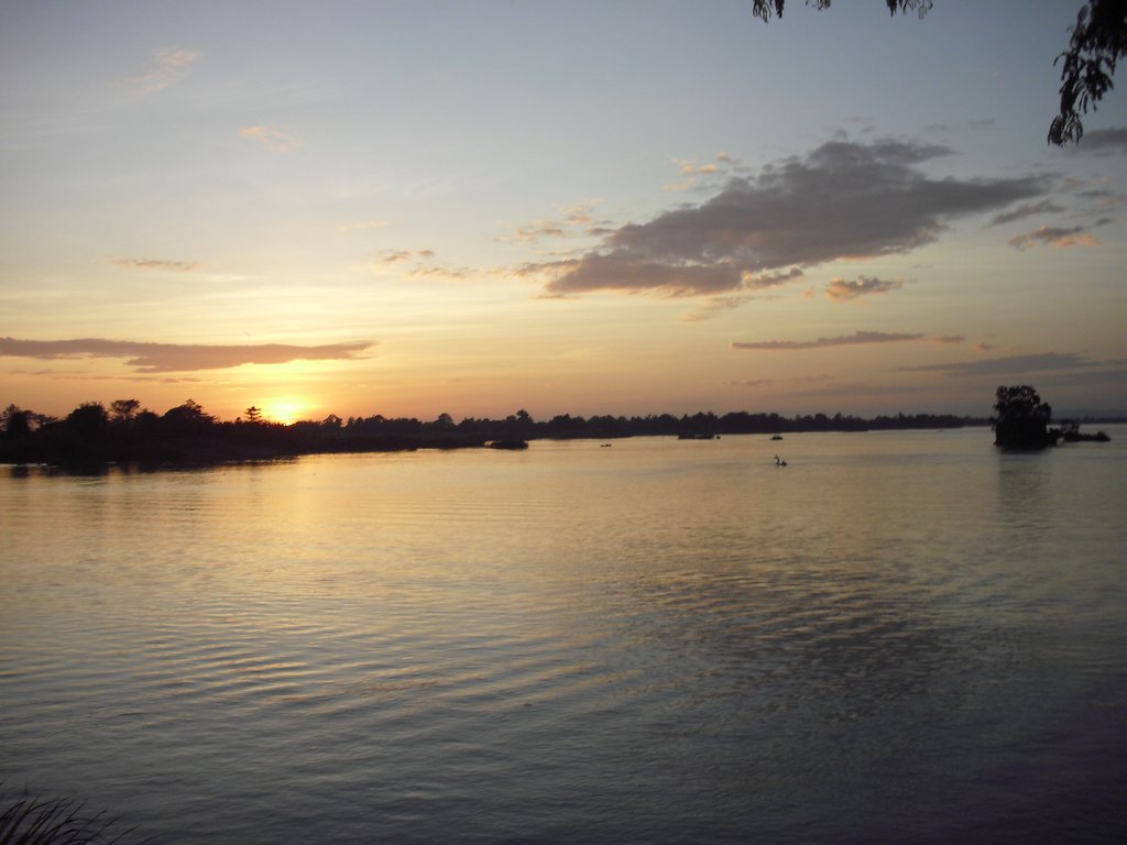 Image CIMG2655.JPG