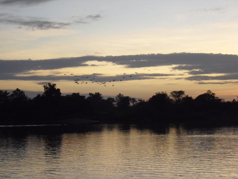 Image CIMG2659.JPG