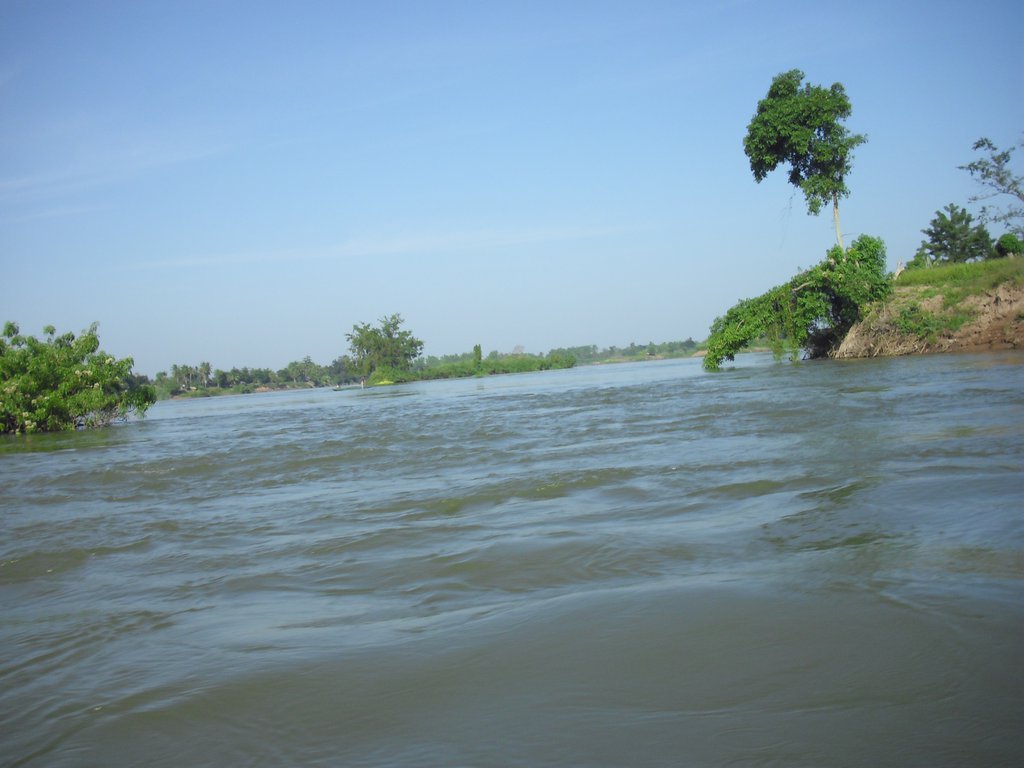 Image CIMG2673.JPG