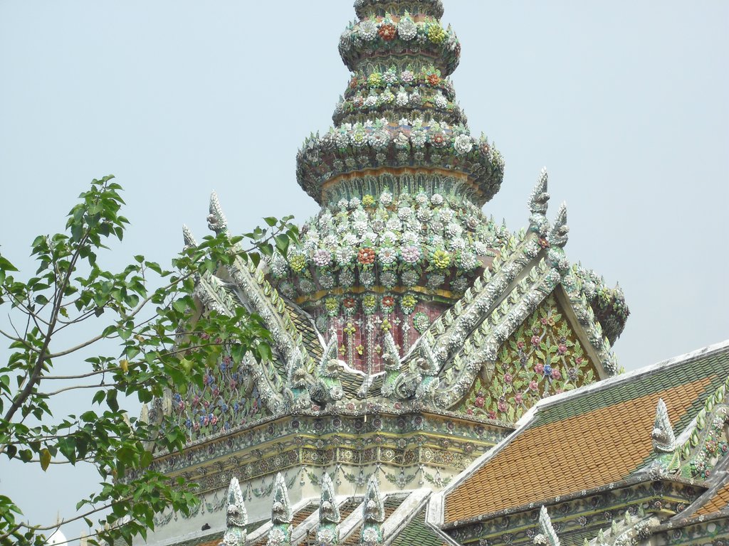 Image CIMG4086.JPG