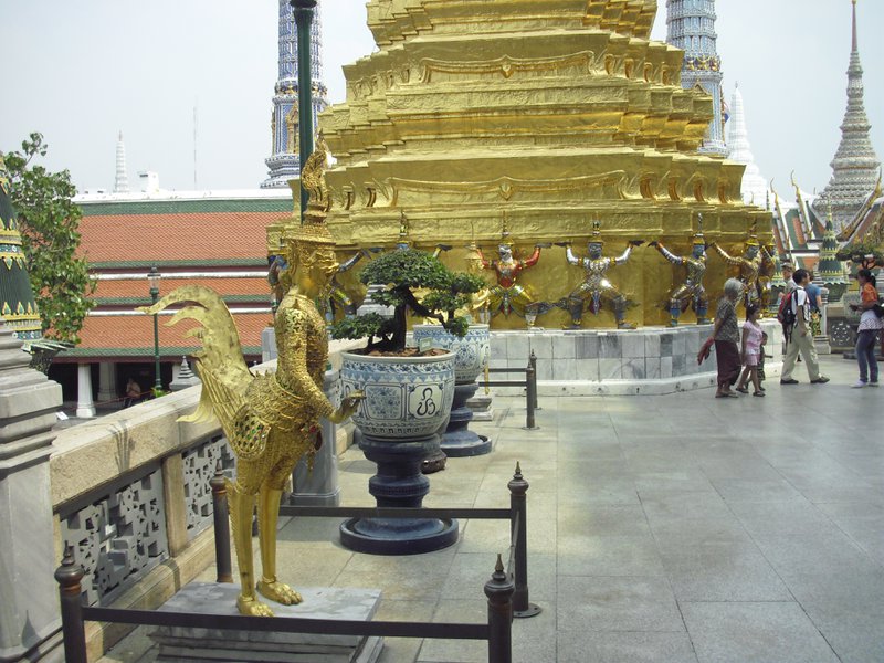 Image CIMG4093.JPG