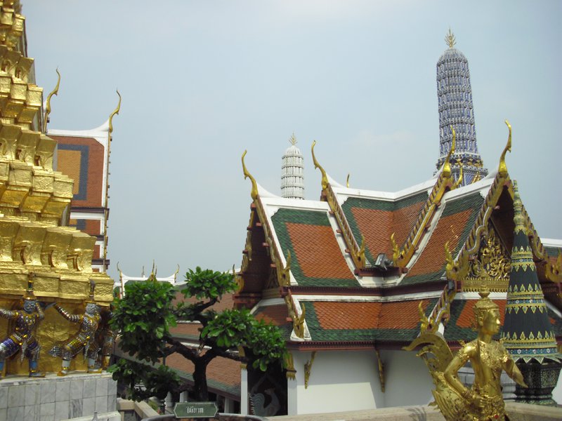 Image CIMG4098.JPG
