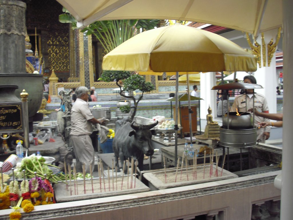 Image CIMG4108.JPG