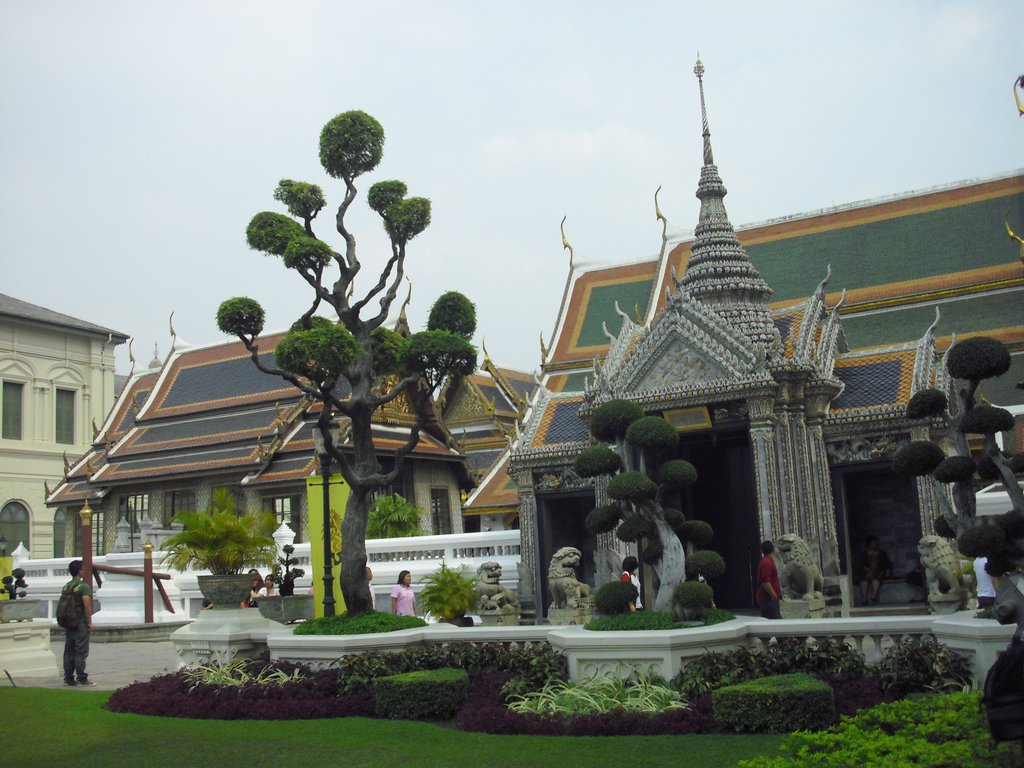 Image CIMG4118.JPG