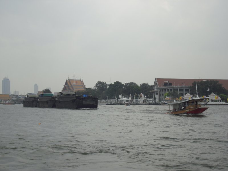 Image CIMG4145.JPG