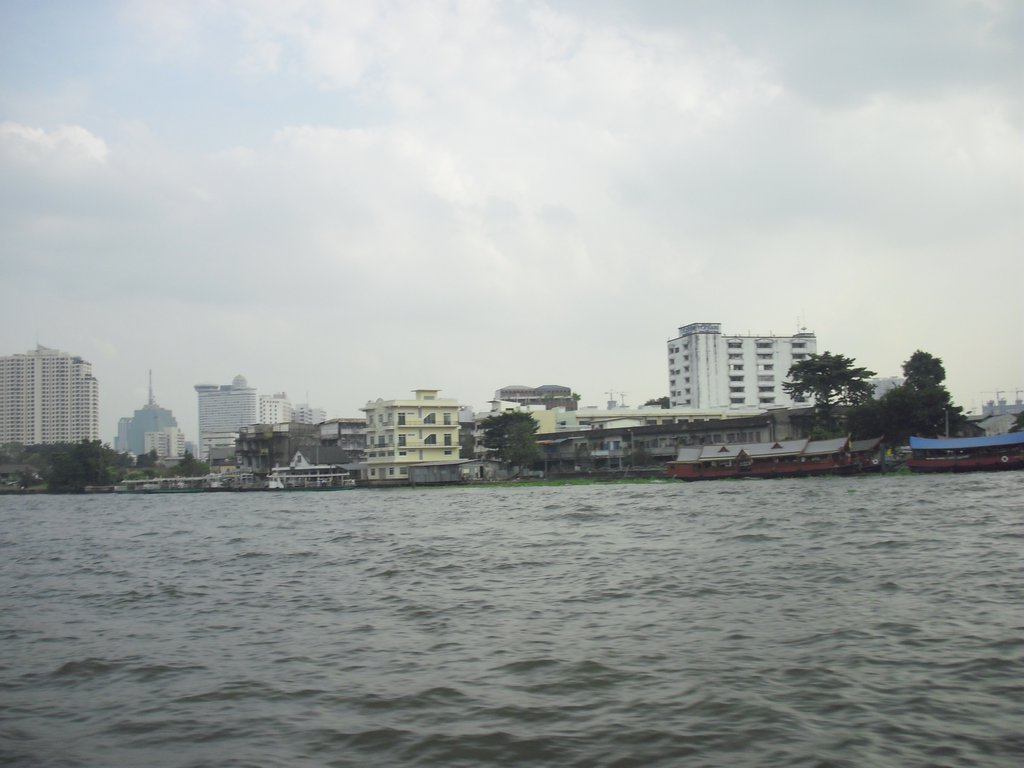 Image CIMG4192.JPG