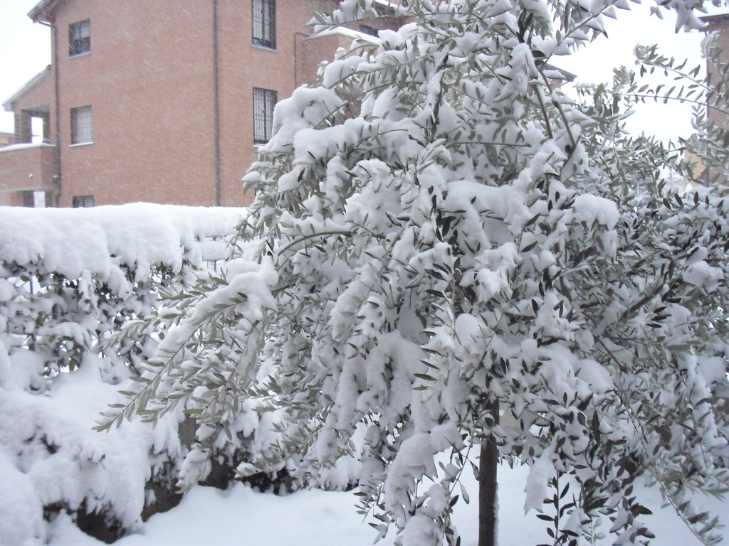 Image CIMG4207.JPG