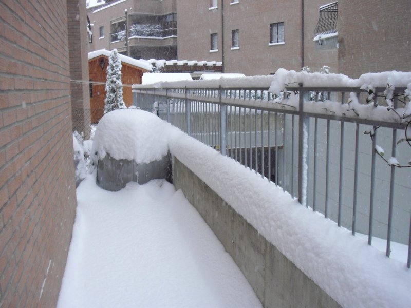 Image CIMG4208.JPG