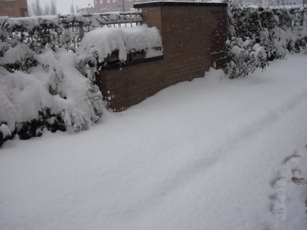 Image CIMG4210.JPG