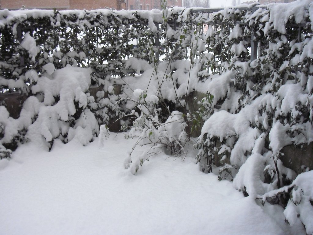 Image CIMG4211.JPG