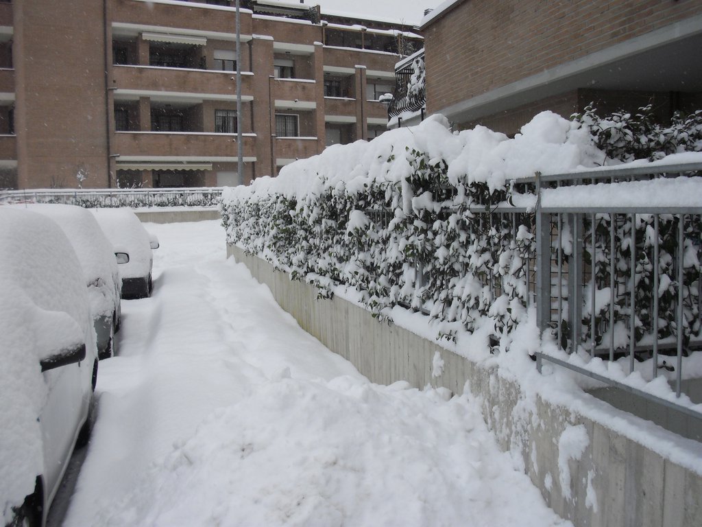 Image CIMG4213.JPG