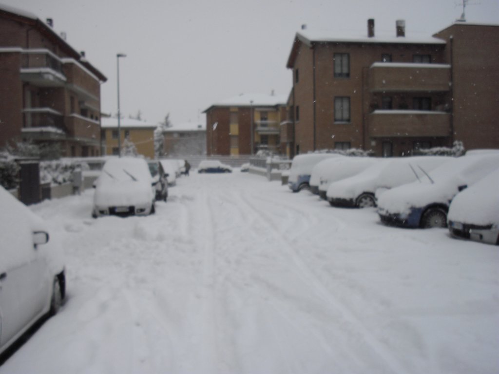 Image CIMG4215.JPG