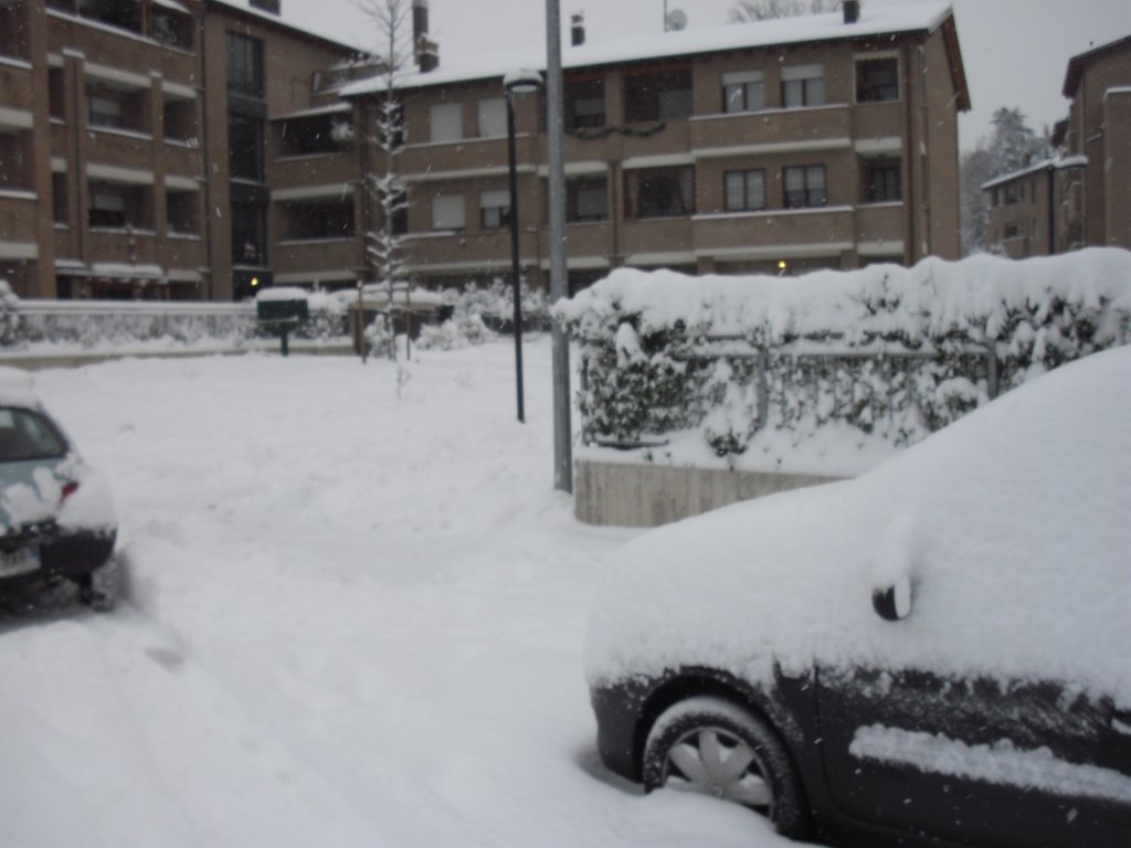Image CIMG4216.JPG