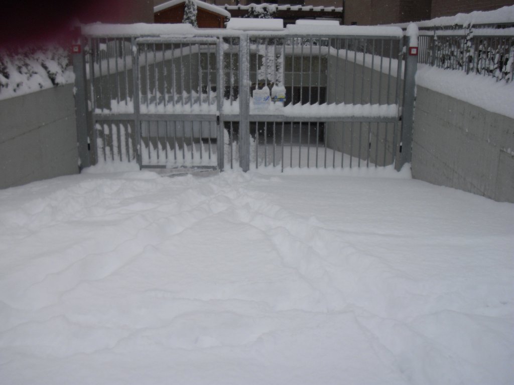 Image CIMG4222.JPG