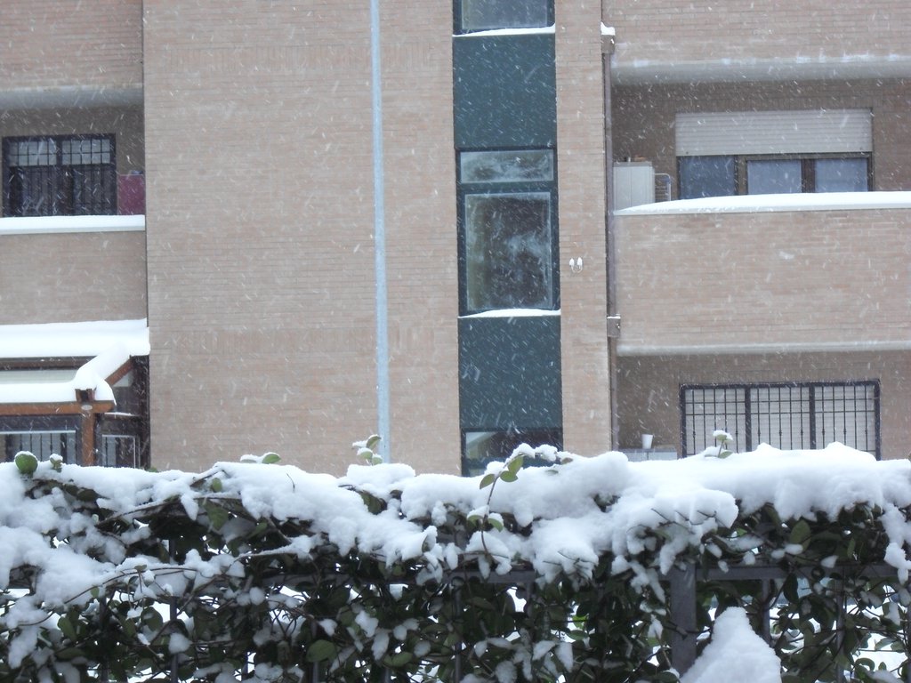 Image CIMG4225.JPG