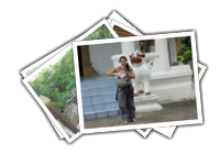 Laos album picture