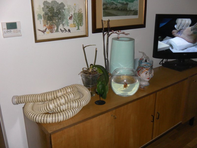 Image SAM_0003.JPG