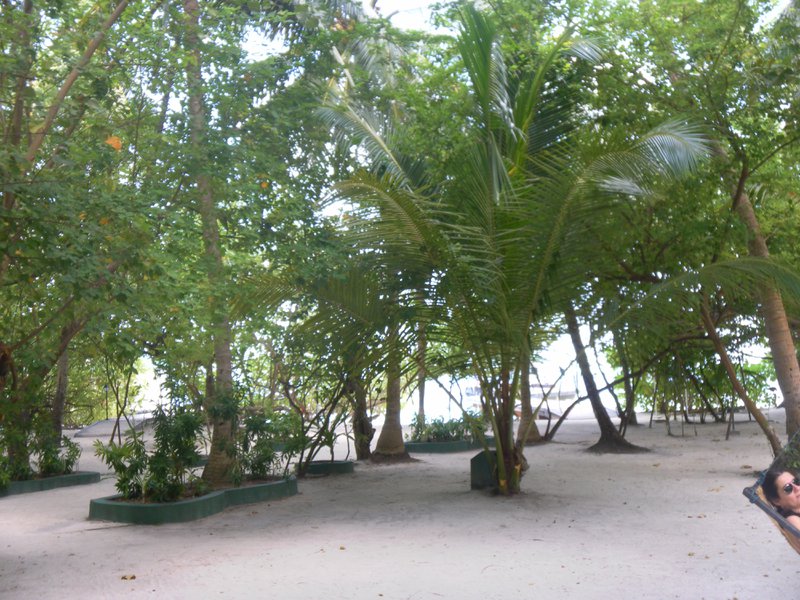 Image SAM_0019.JPG