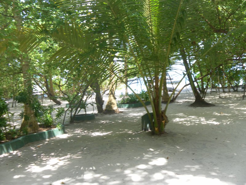 Image SAM_0022.JPG