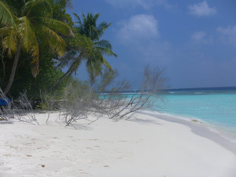 Image SAM_0028.JPG