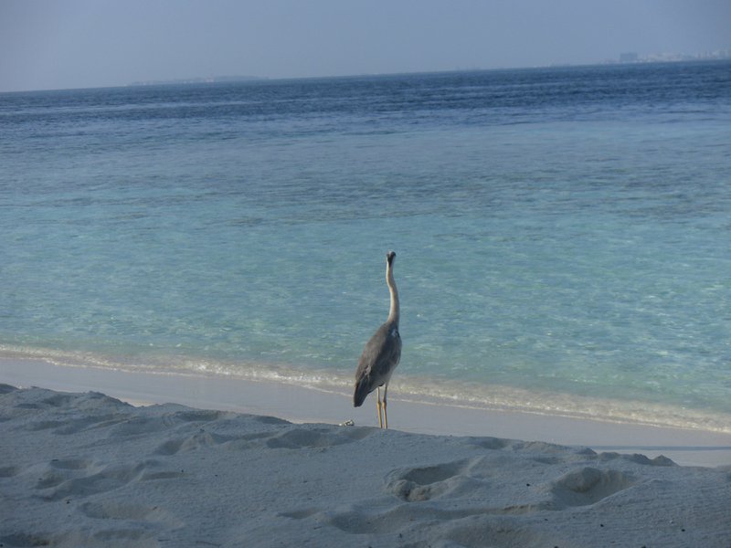 Image SAM_0030.JPG