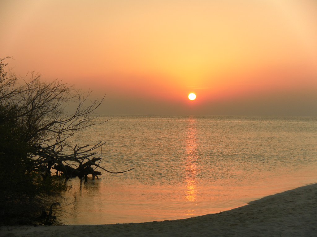 Image SAM_0035.JPG