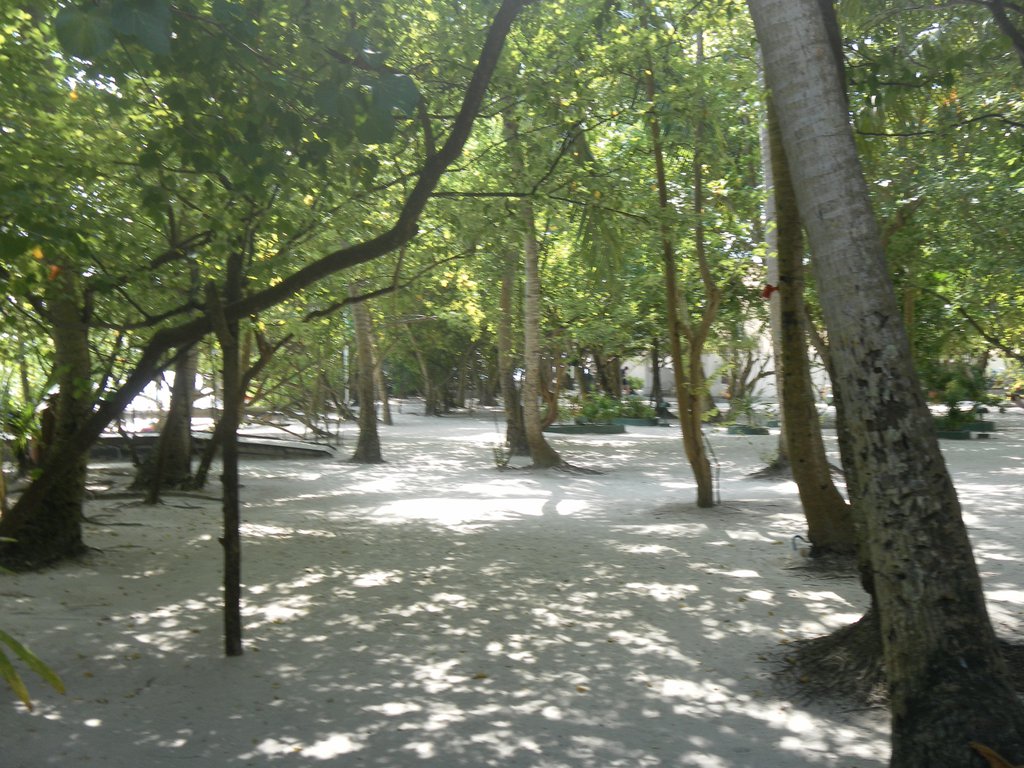 Image SAM_0036.JPG