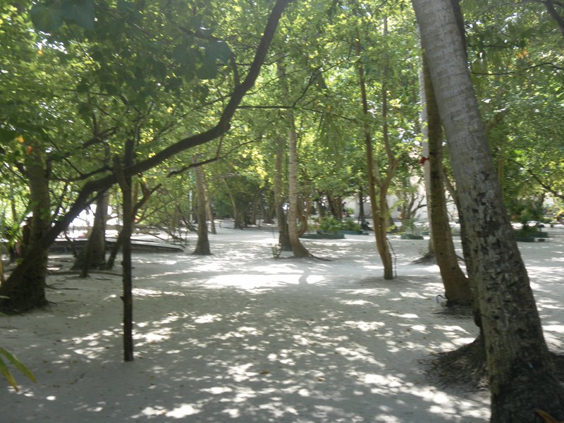 Image SAM_0036.JPG