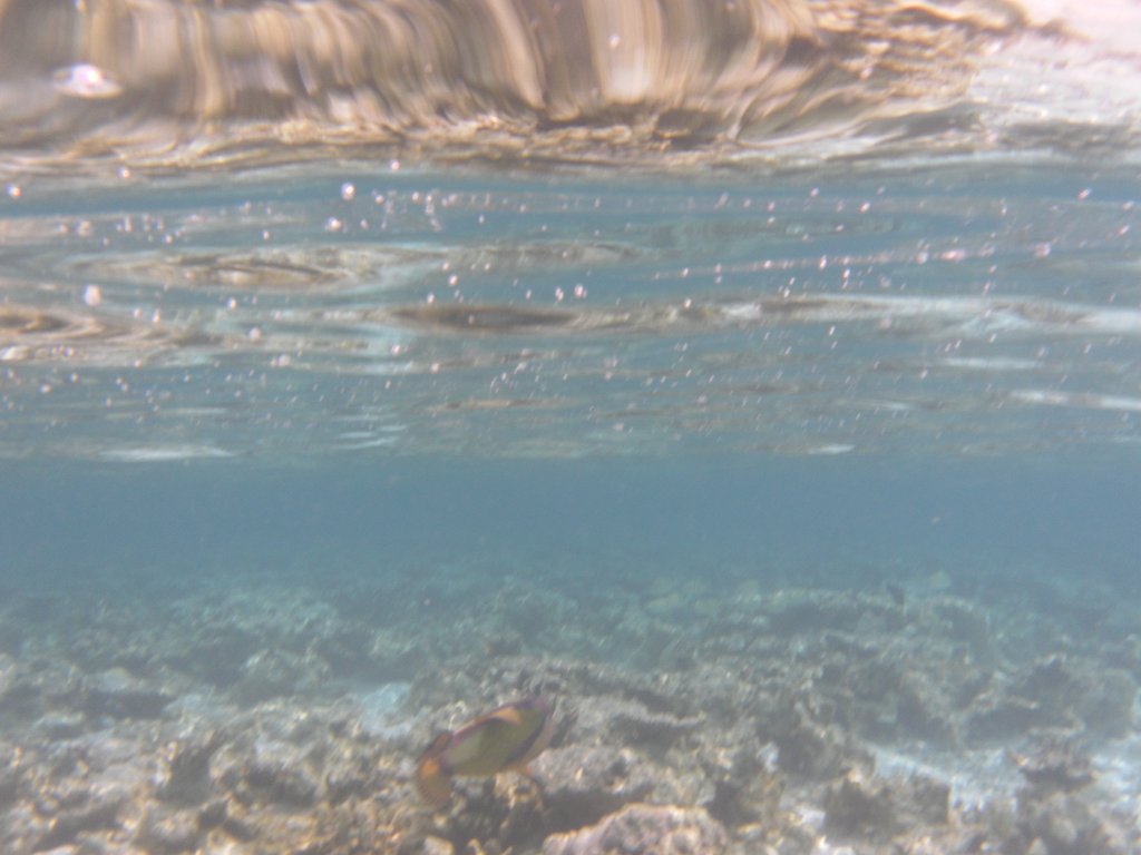 Image SAM_0052.JPG