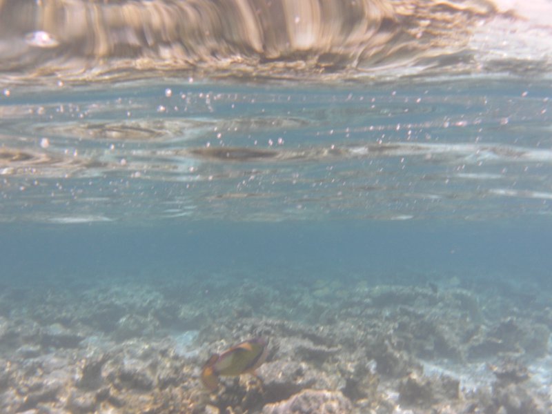 Image SAM_0052.JPG