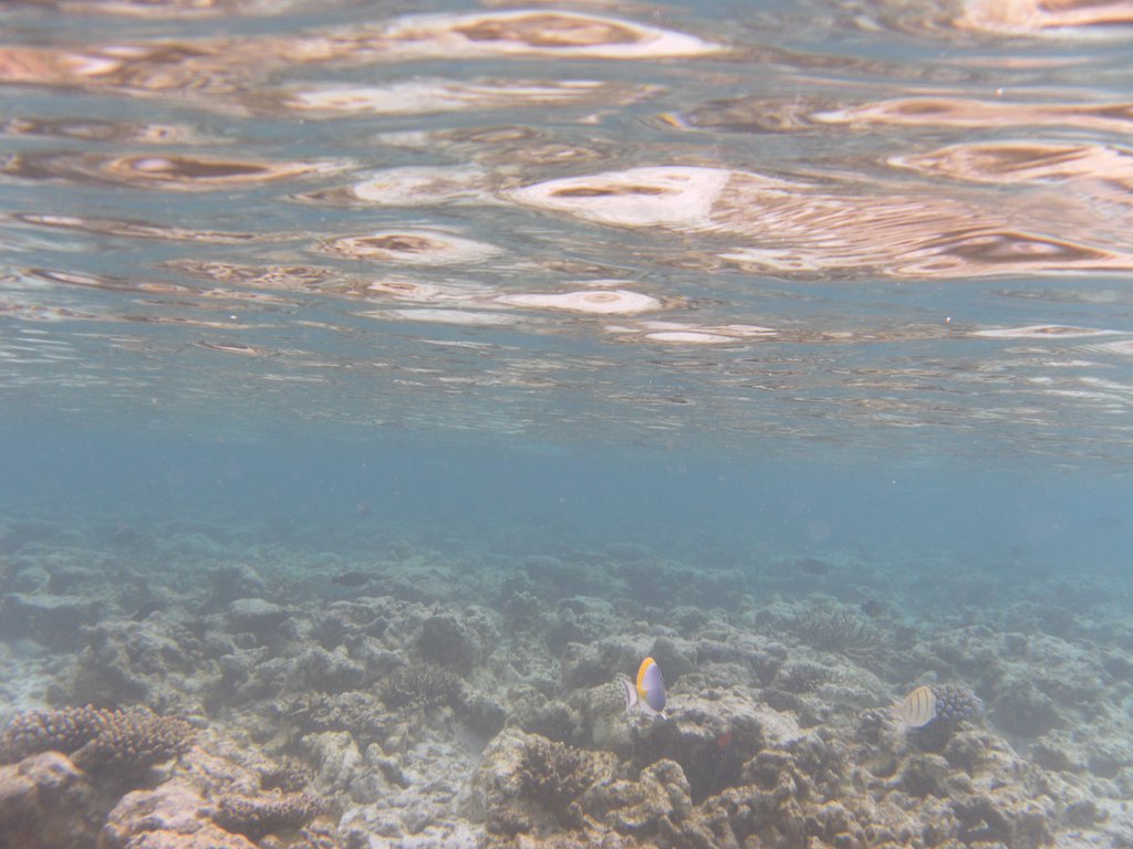Image SAM_0053.JPG