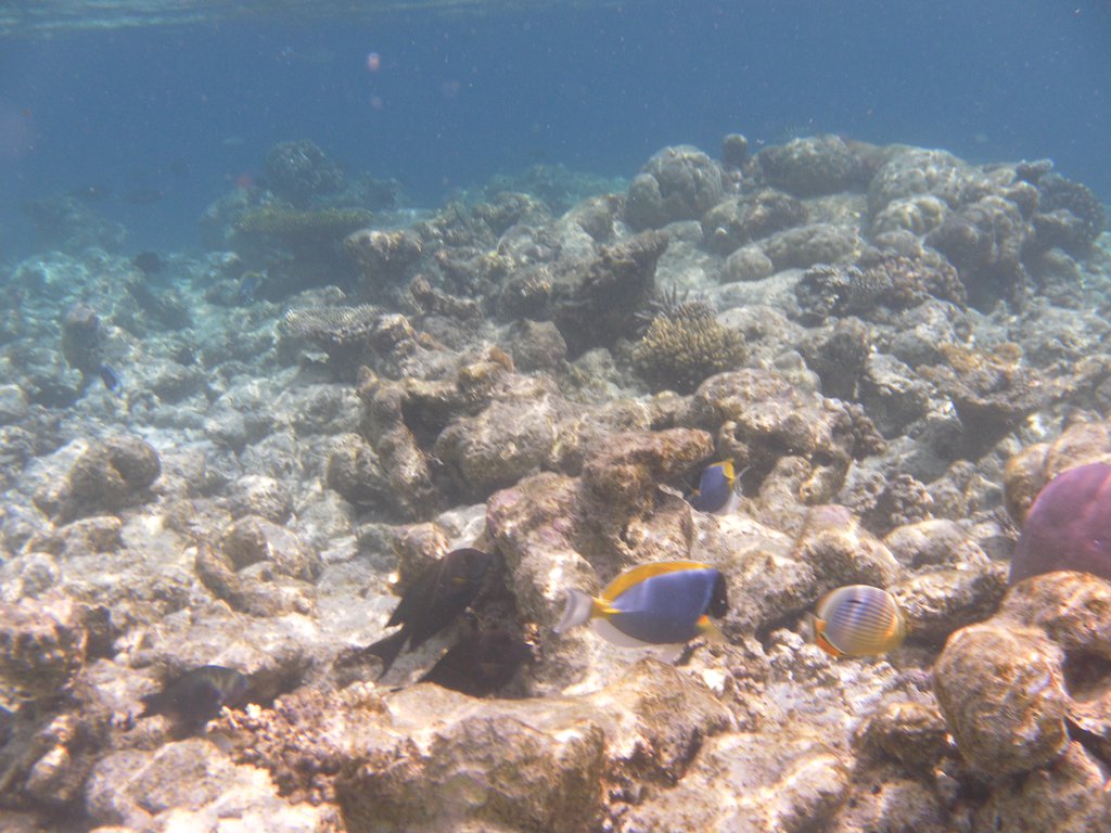 Image SAM_0055.JPG