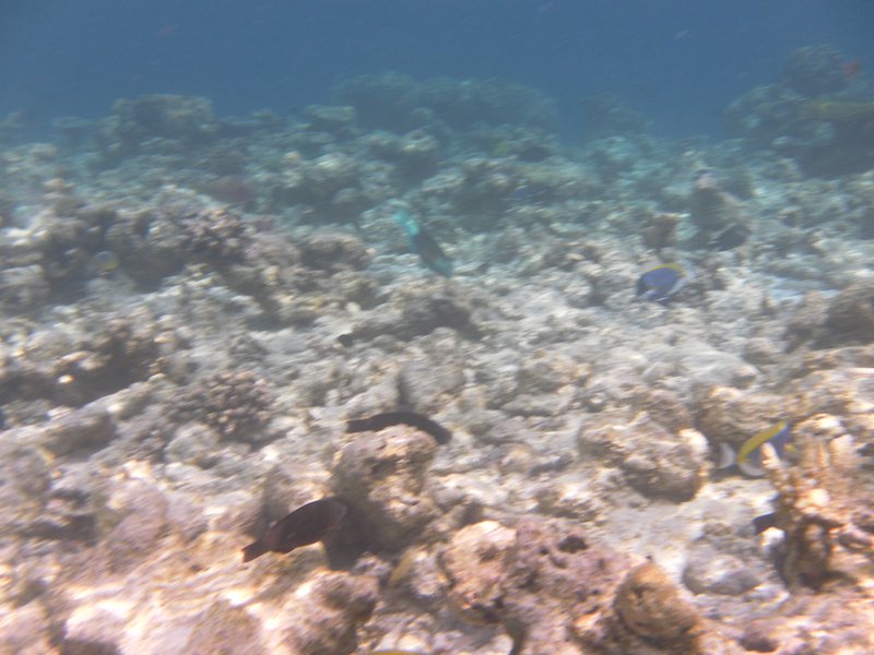Image SAM_0056.JPG