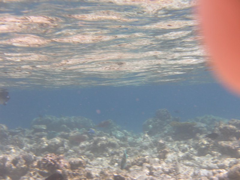 Image SAM_0057.JPG