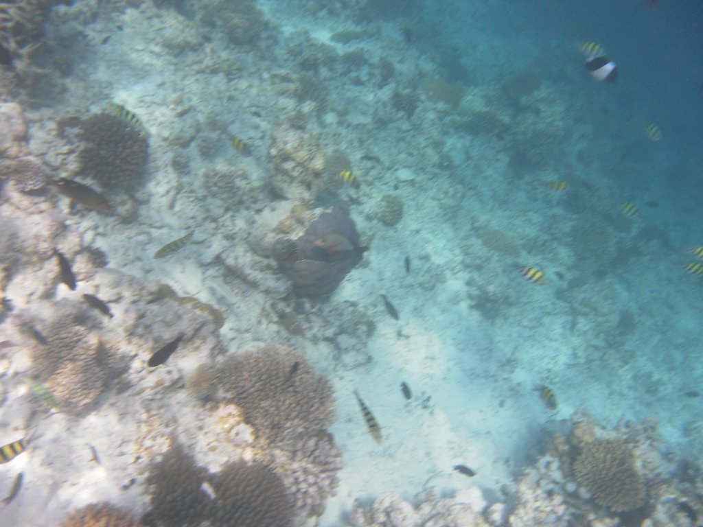 Image SAM_0059.JPG