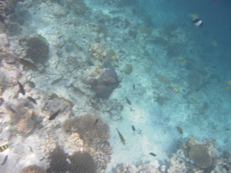 Image SAM_0059.JPG