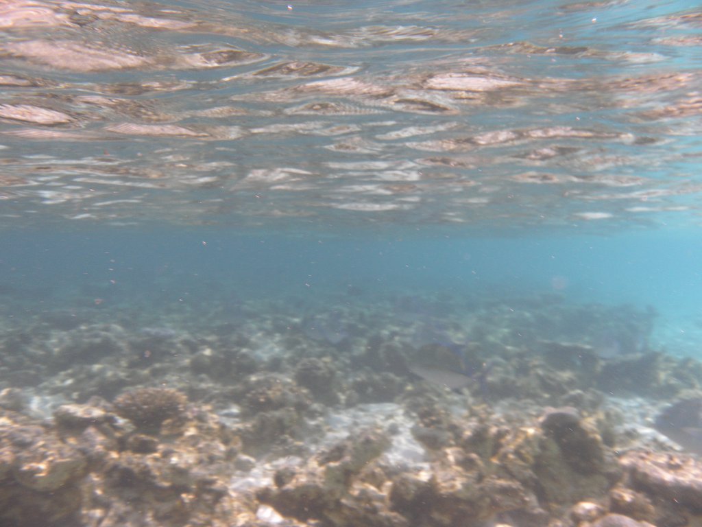 Image SAM_0067.JPG