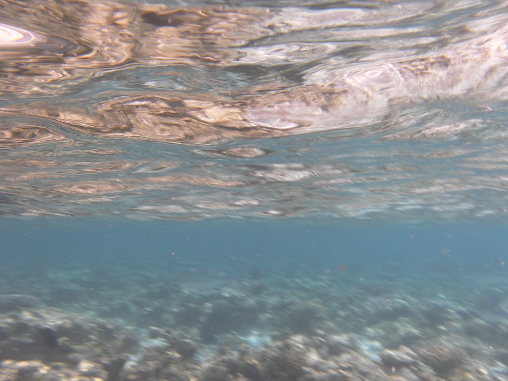 Image SAM_0068.JPG