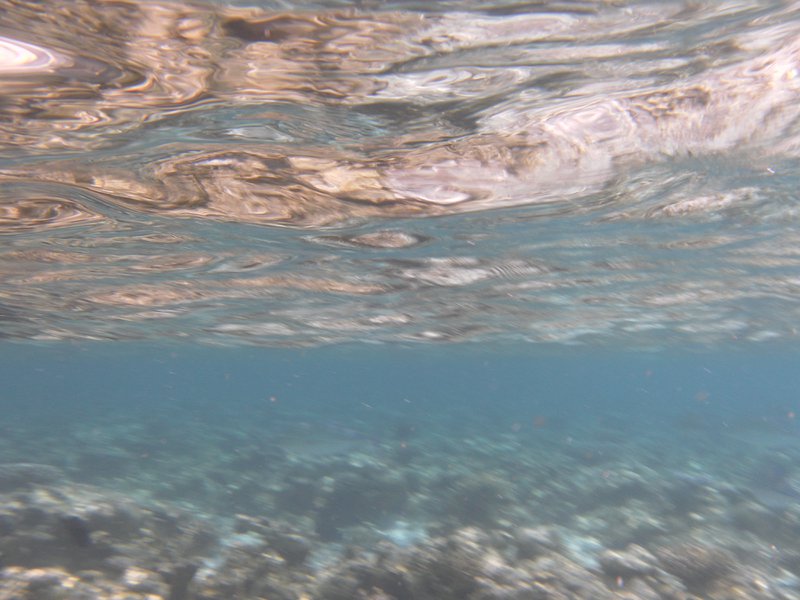 Image SAM_0068.JPG