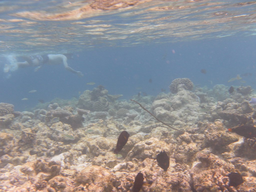 Image SAM_0070.JPG
