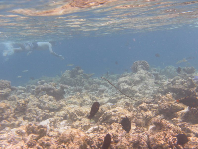 Image SAM_0070.JPG