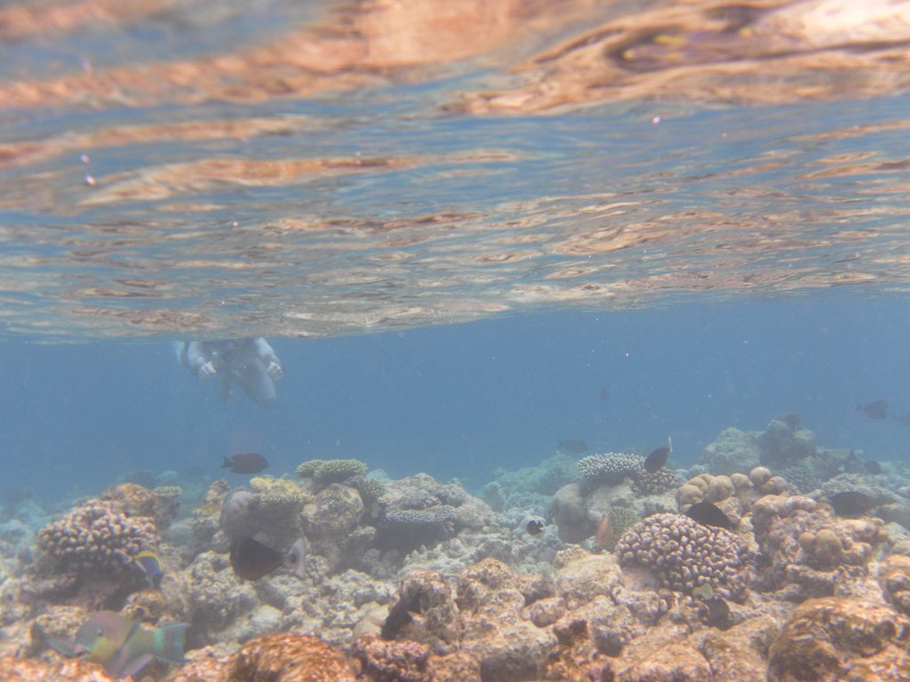 Image SAM_0071.JPG
