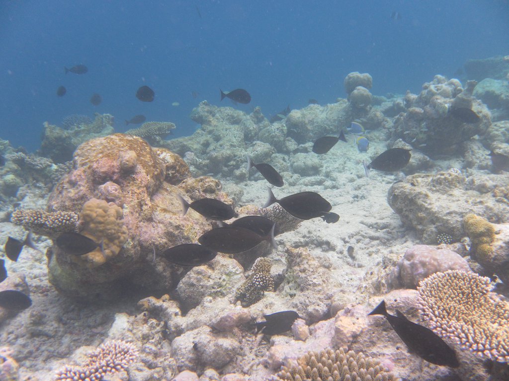Image SAM_0072.JPG