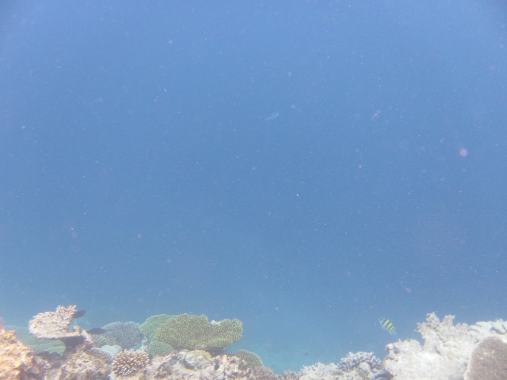 Image SAM_0073.JPG