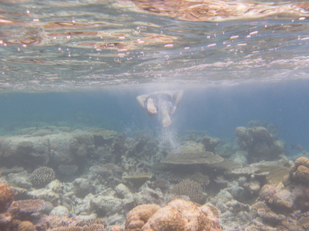 Image SAM_0076.JPG